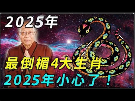 2025年生肖五行